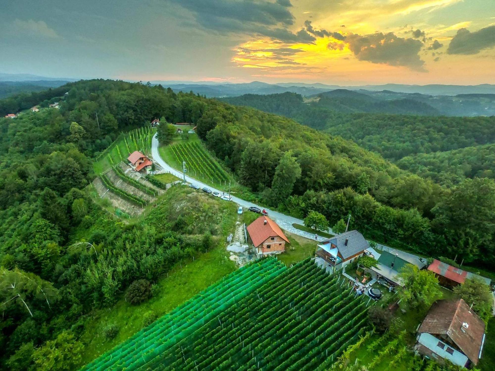 Vineyard Cottage Matej Trebnje Eksteriør bilde
