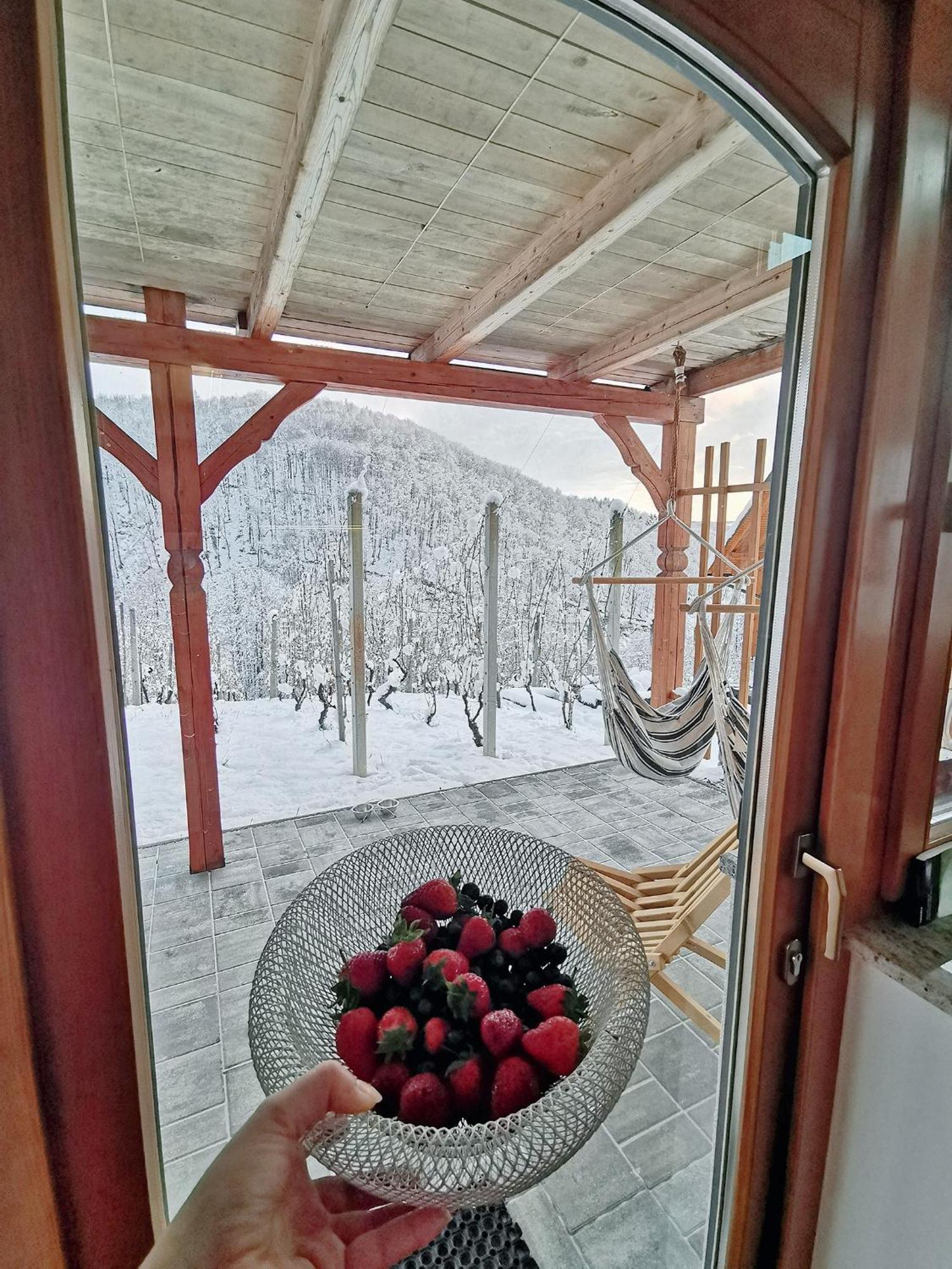 Vineyard Cottage Matej Trebnje Eksteriør bilde